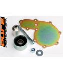 Water Pump Blanking Kit Clio 2